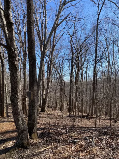 lot5 Deerfield Rd, Hardy, VA 24101