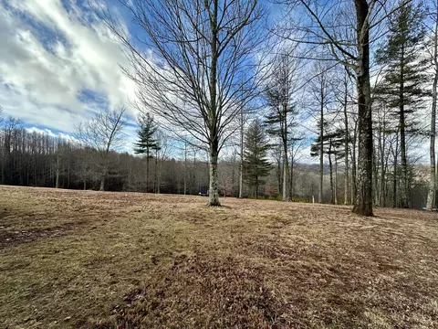 Exterior - 987 Nursery Rd, Laurel Fork, VA 24352 photo 11 of 29
