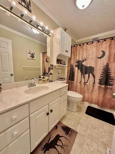 Bath - 987 Nursery Rd, Laurel Fork, VA 24352 photo 2 of 4