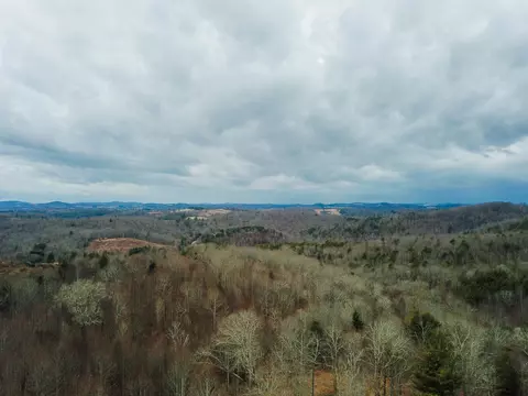 View/Area - 987 Nursery Rd, Laurel Fork, VA 24352 photo 4 of 4