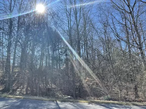 Lot 33 Whitetail Dr, Huddleston, VA 24104