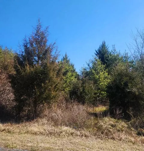 8910 Hatchett Rd, Penhook, VA 24137 photo 6