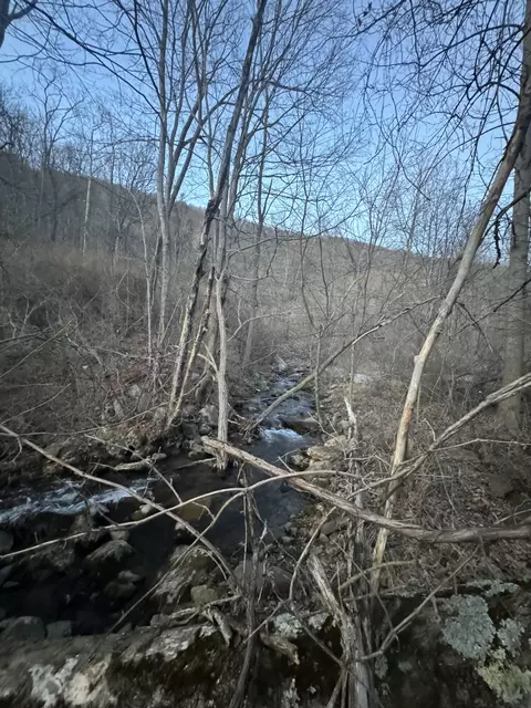 409 Olean Rd, Ripplemead, VA 24150 photo 7