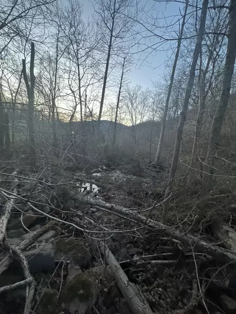 409 Olean Rd, Ripplemead, VA 24150 photo 6
