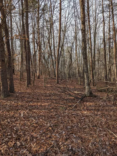 0 Bar Ridge Rd, Penhook, VA 24137 photo 2
