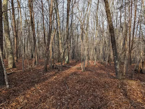 0 Bar Ridge Rd, Penhook, VA 24137 photo 5