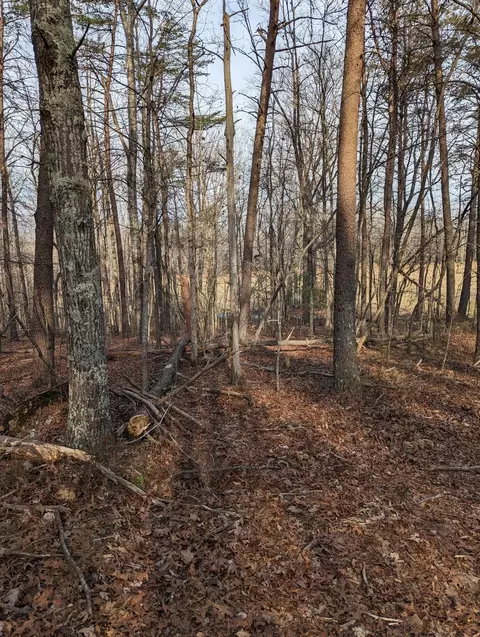 0 Bar Ridge Rd, Penhook, VA 24137 photo 3