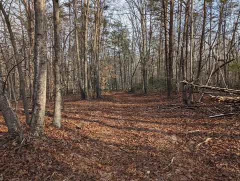 0 Bar Ridge Rd, Penhook, VA 24137 photo 6