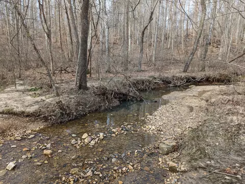 0 Bar Ridge Rd, Penhook, VA 24137 photo 10