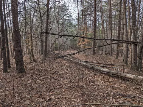 0 Bar Ridge Rd, Penhook, VA 24137 photo 13