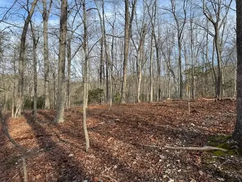 lot19 Cedar Bluff Ln, Hardy, VA 24101
