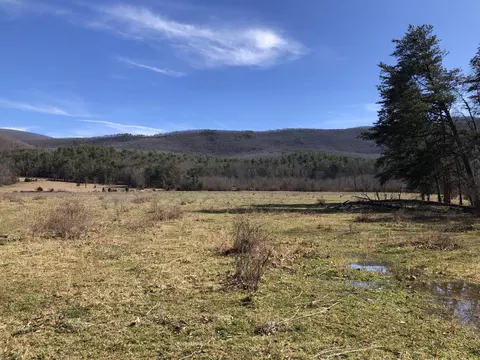 000 Potts Creek Rd, Covington, VA 24426 photo 5