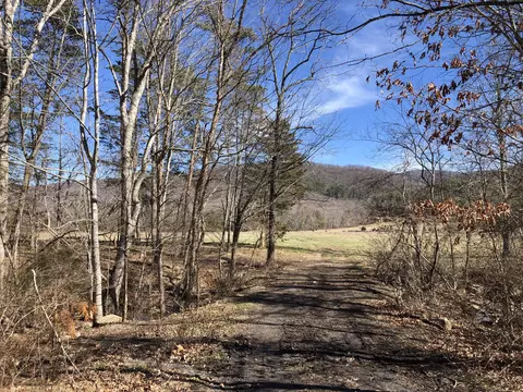 000 Potts Creek Rd, Covington, VA 24426 photo 11