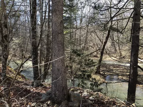 000 Potts Creek Rd, Covington, VA 24426 photo 22