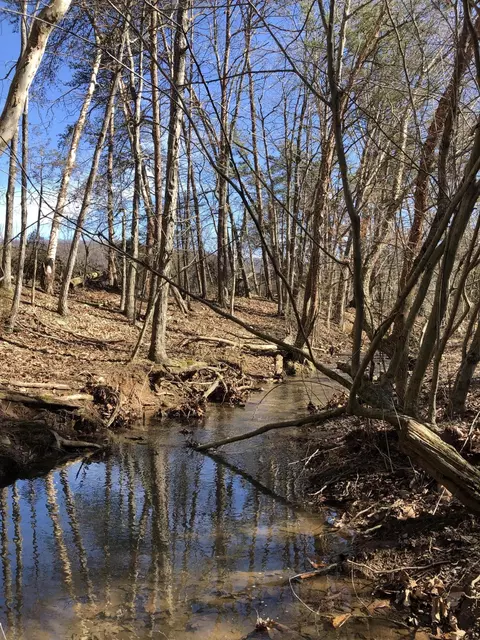 000 Potts Creek Rd, Covington, VA 24426 photo 8