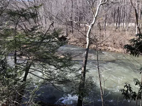 000 Potts Creek Rd, Covington, VA 24426 photo 3