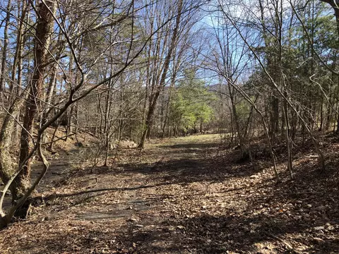 000 Potts Creek Rd, Covington, VA 24426 photo 12