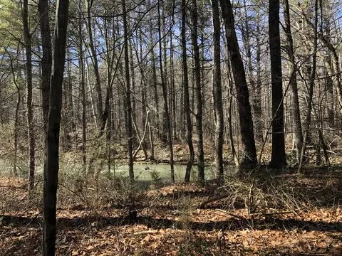 000 Potts Creek Rd, Covington, VA 24426 photo 24