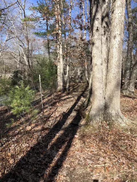 000 Potts Creek Rd, Covington, VA 24426 photo 17