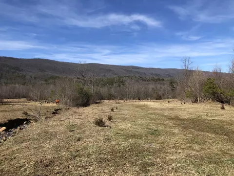 000 Potts Creek Rd, Covington, VA 24426 photo 18