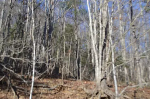 012 Cumberland Gap Rd, New Castle, VA 24127