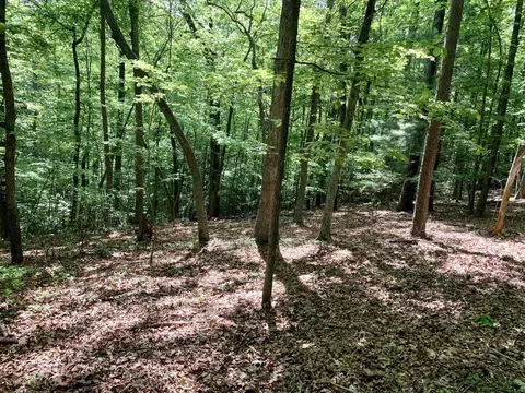 8 Hickory Dr, Goodview, VA 24095 photo 3