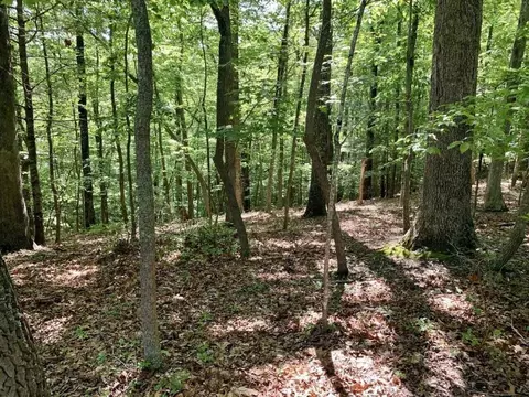 8 Hickory Dr, Goodview, VA 24095