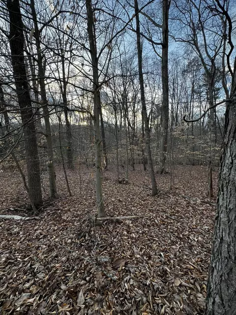 lot23 Old Post Rd, Moneta, VA 24121