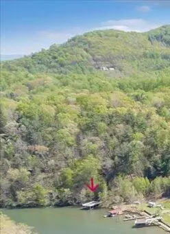 lot112 Bailey Blvd, Hardy, VA 24101 photo 2