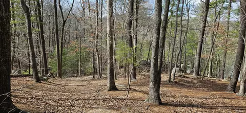 lot112 Bailey Blvd, Hardy, VA 24101 photo 67