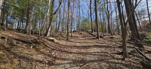 lot112 Bailey Blvd, Hardy, VA 24101 photo 68