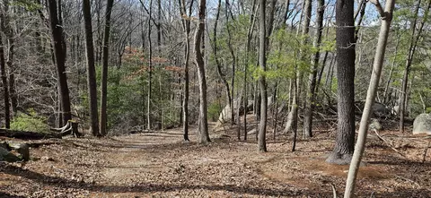 lot112 Bailey Blvd, Hardy, VA 24101 photo 62
