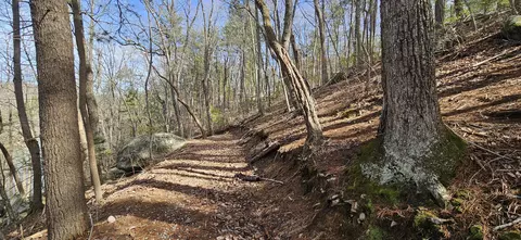 lot112 Bailey Blvd, Hardy, VA 24101 photo 61