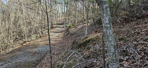 lot112 Bailey Blvd, Hardy, VA 24101 photo 48