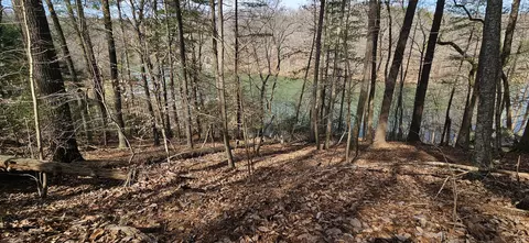 lot112 Bailey Blvd, Hardy, VA 24101 photo 65