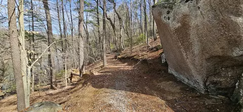 lot112 Bailey Blvd, Hardy, VA 24101 photo 59