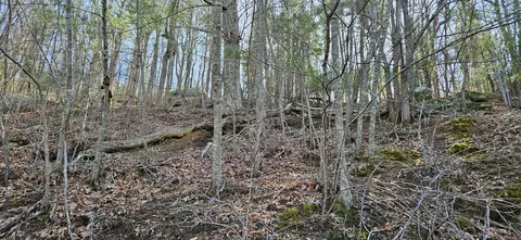 lot112 Bailey Blvd, Hardy, VA 24101 photo 39
