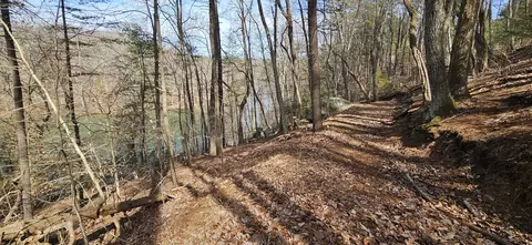 lot112 Bailey Blvd, Hardy, VA 24101 photo 63