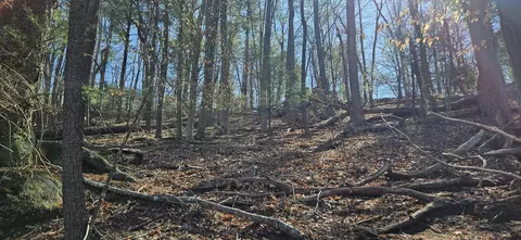 lot112 Bailey Blvd, Hardy, VA 24101 photo 32
