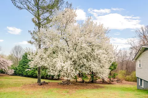 201 Woodlin Ln, Stuart, VA 24171 photo 42