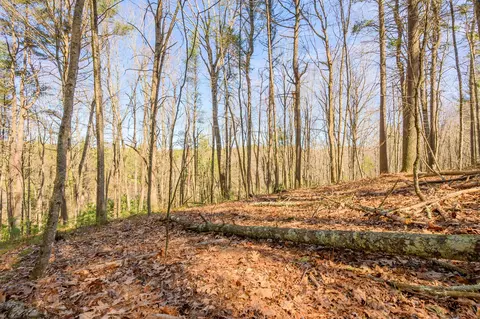 000 Kings Store Rd, Floyd, VA 24091 photo 15
