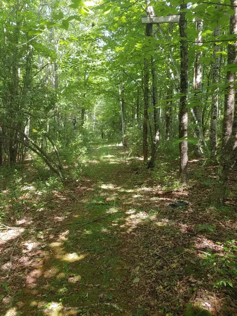 Tbd Nursery Rd, Laurel Fork, VA 24352 photo 3