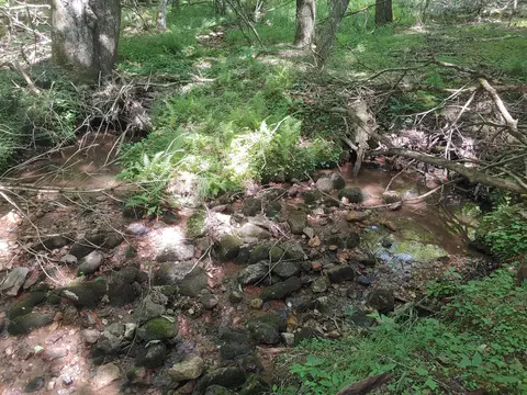 Tbd Nursery Rd, Laurel Fork, VA 24352 photo 9