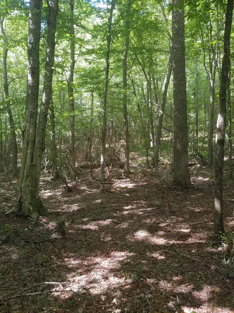 Tbd Nursery Rd, Laurel Fork, VA 24352 photo 6