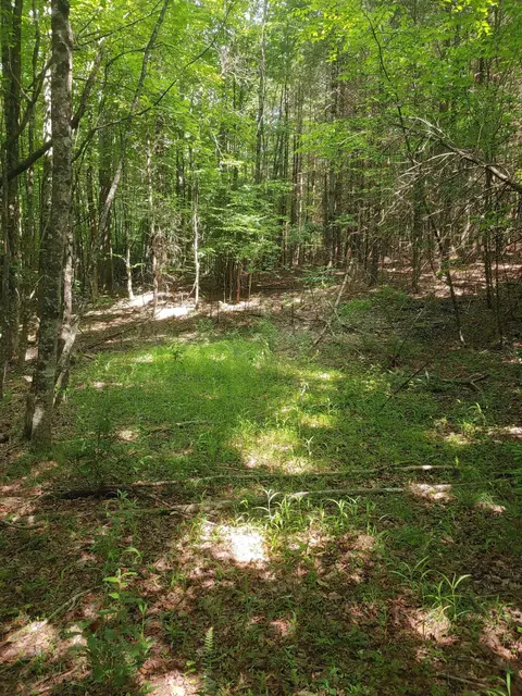 Tbd Nursery Rd, Laurel Fork, VA 24352 photo 5