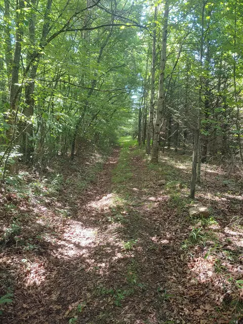 Tbd Nursery Rd, Laurel Fork, VA 24352