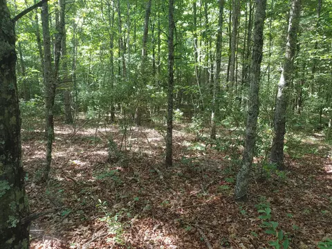 Tbd Nursery Rd, Laurel Fork, VA 24352 photo 2