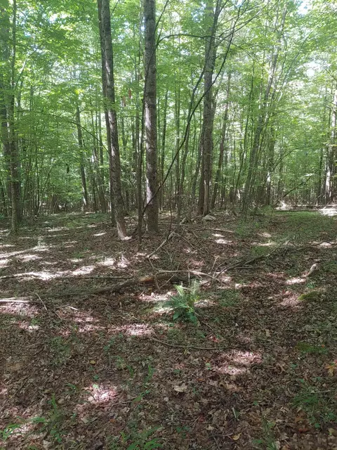 Tbd Nursery Rd, Laurel Fork, VA 24352 photo 4