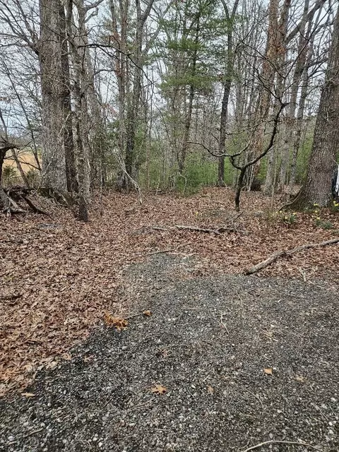 0 Timber Rdg, Fincastle, VA 24090