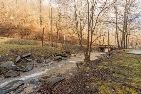 View/Area - Undisclosed, Ferrum, VA 24088 photo 3 of 7